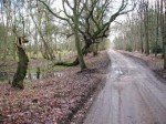 west harling common